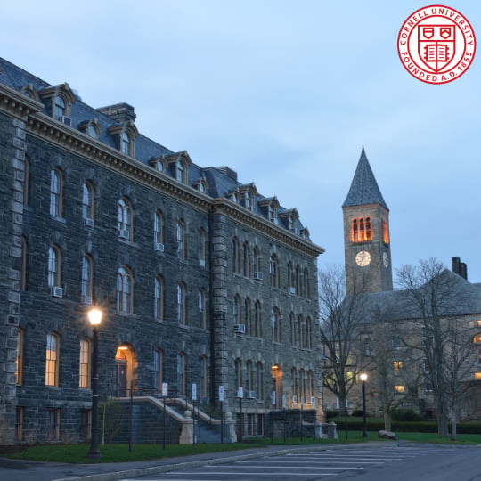 Cornell Chronicle — Digital Marketing Case Study
