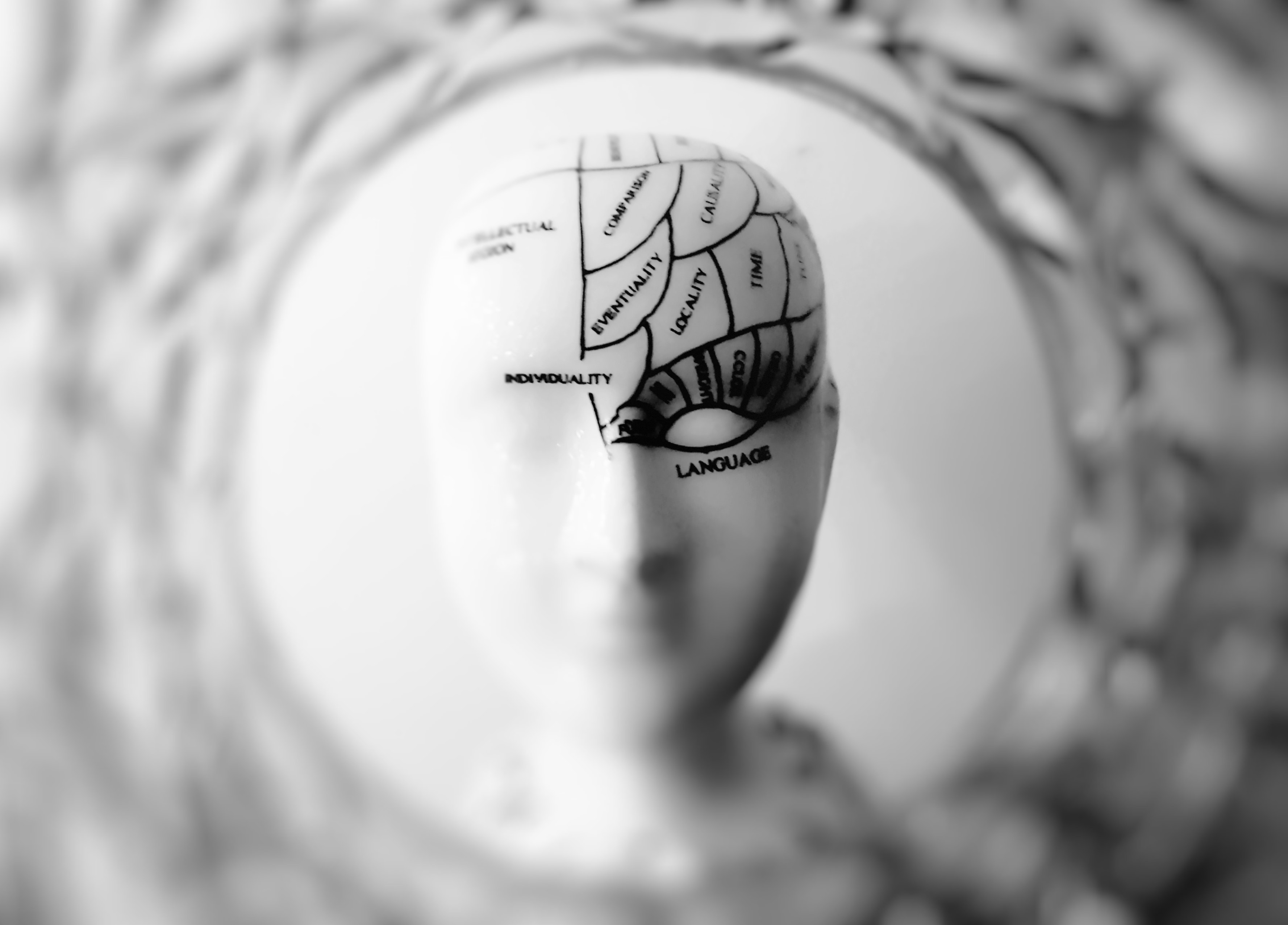 An image of human head showing regions of the brain.