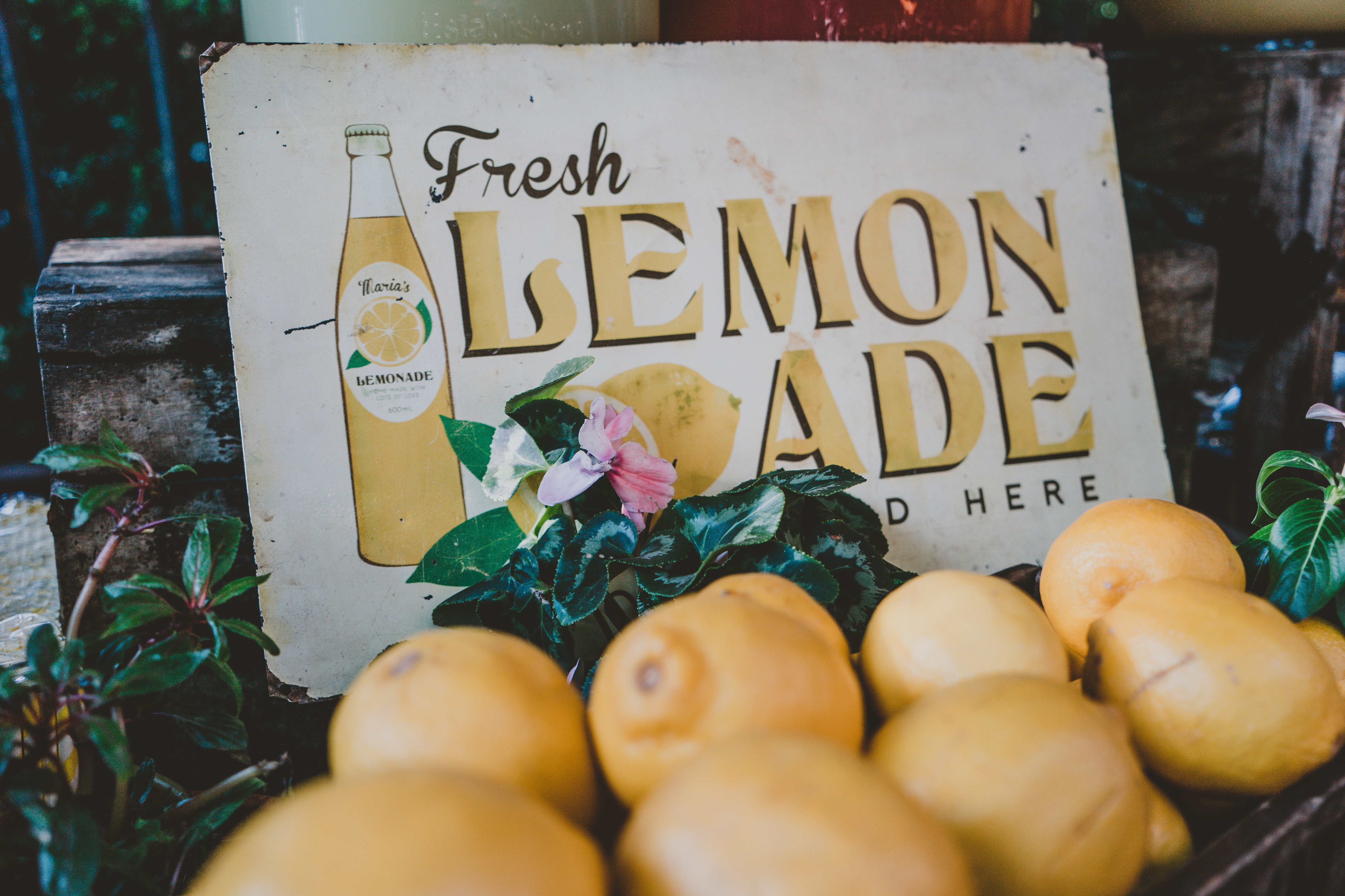 Lemonade Stand