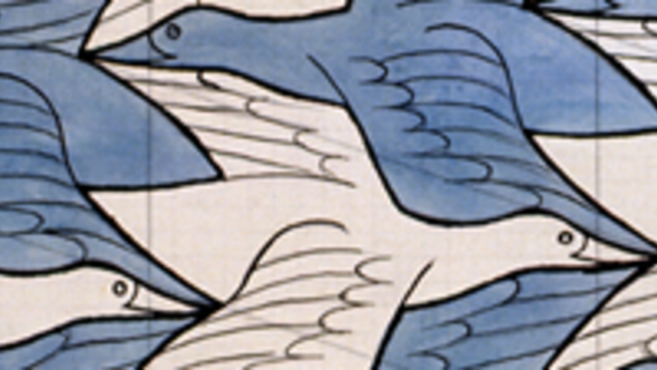Two Birds. M.C. Escher