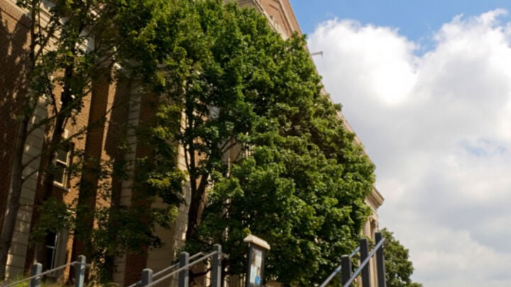 Website Migration for University of Minnesota OIT
