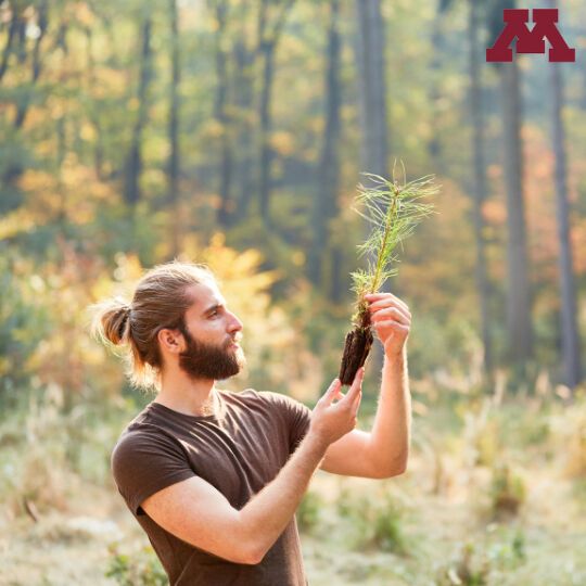 Great Lakes Silviculture Library Teaser