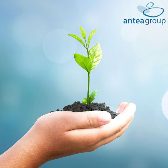 Antea Group - Thumbnail