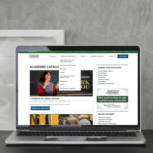 Tompkins Cortland College web page thumbnail