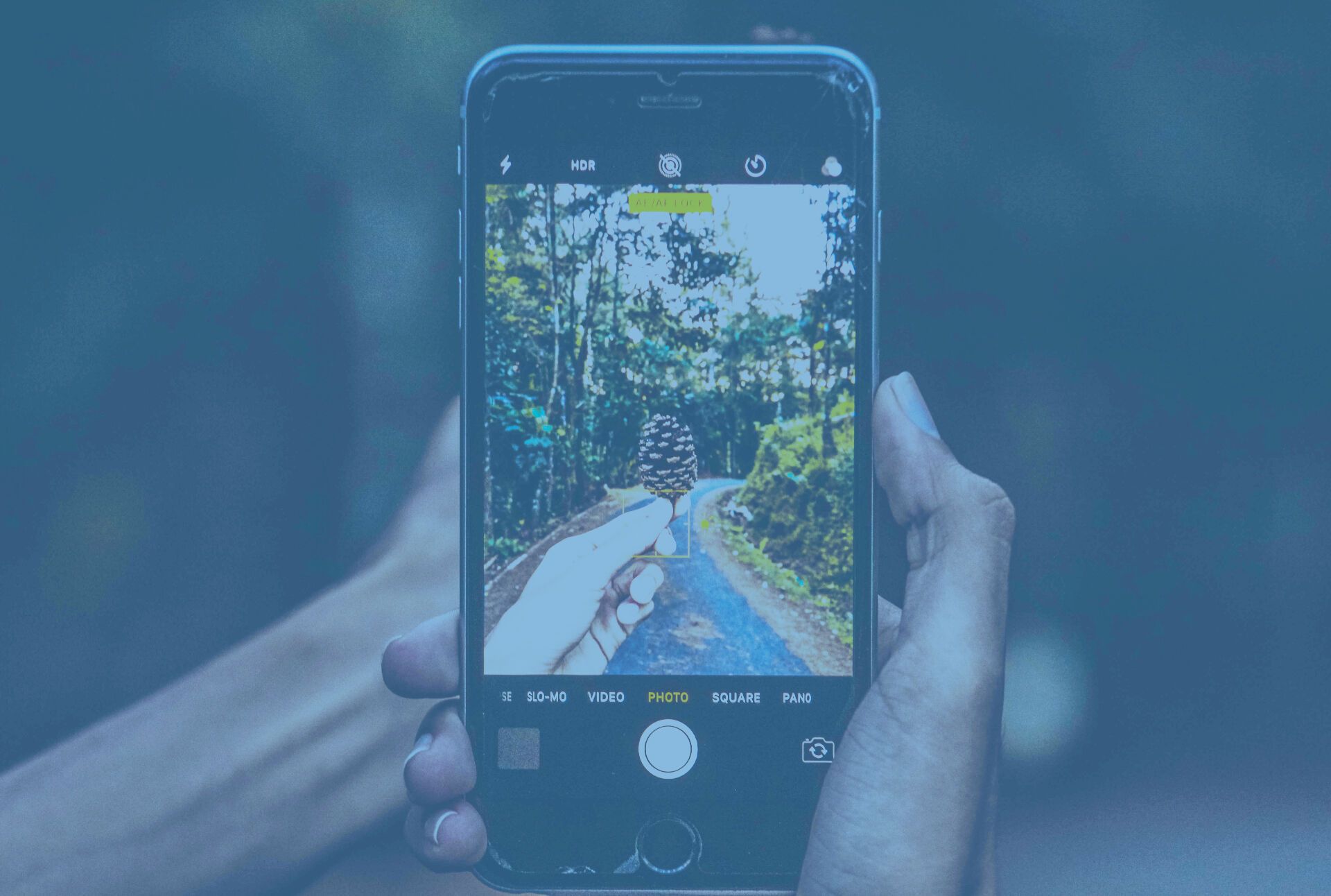 Automate Visual Regression Testing
