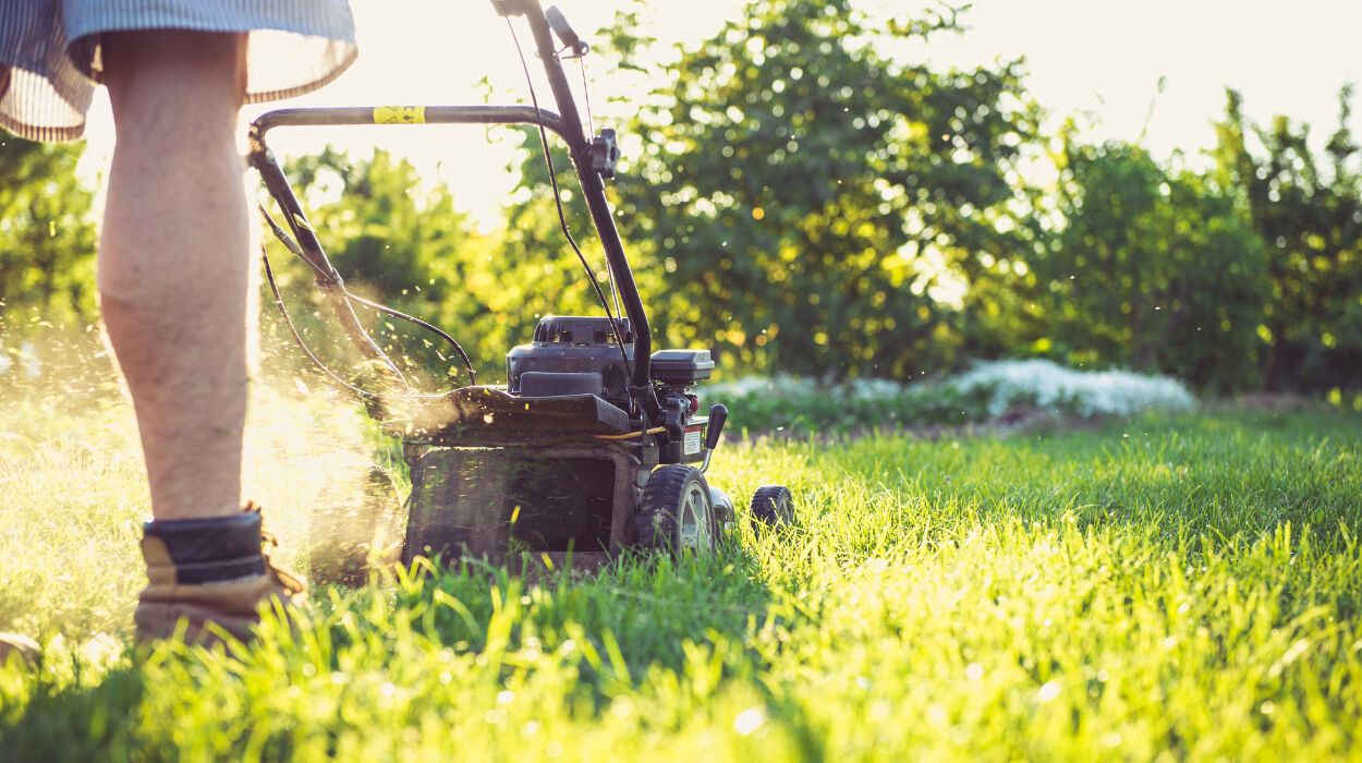 Mowing the Lawn