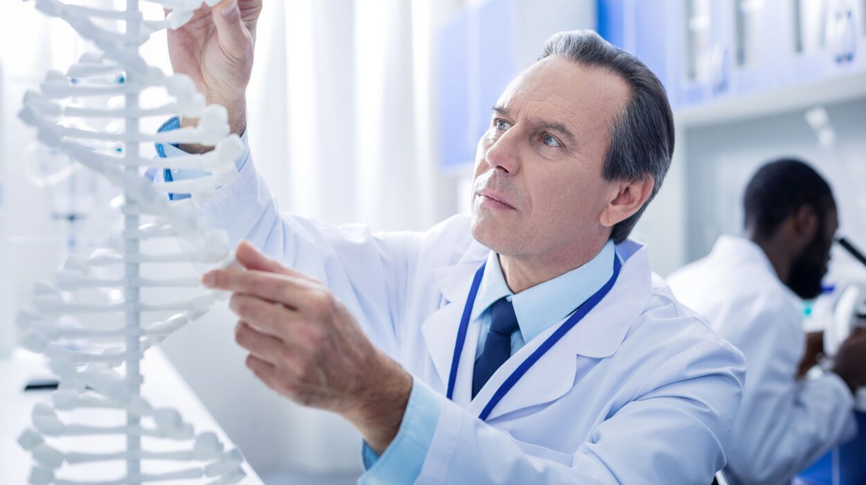 Scientist Holding a DNA Model