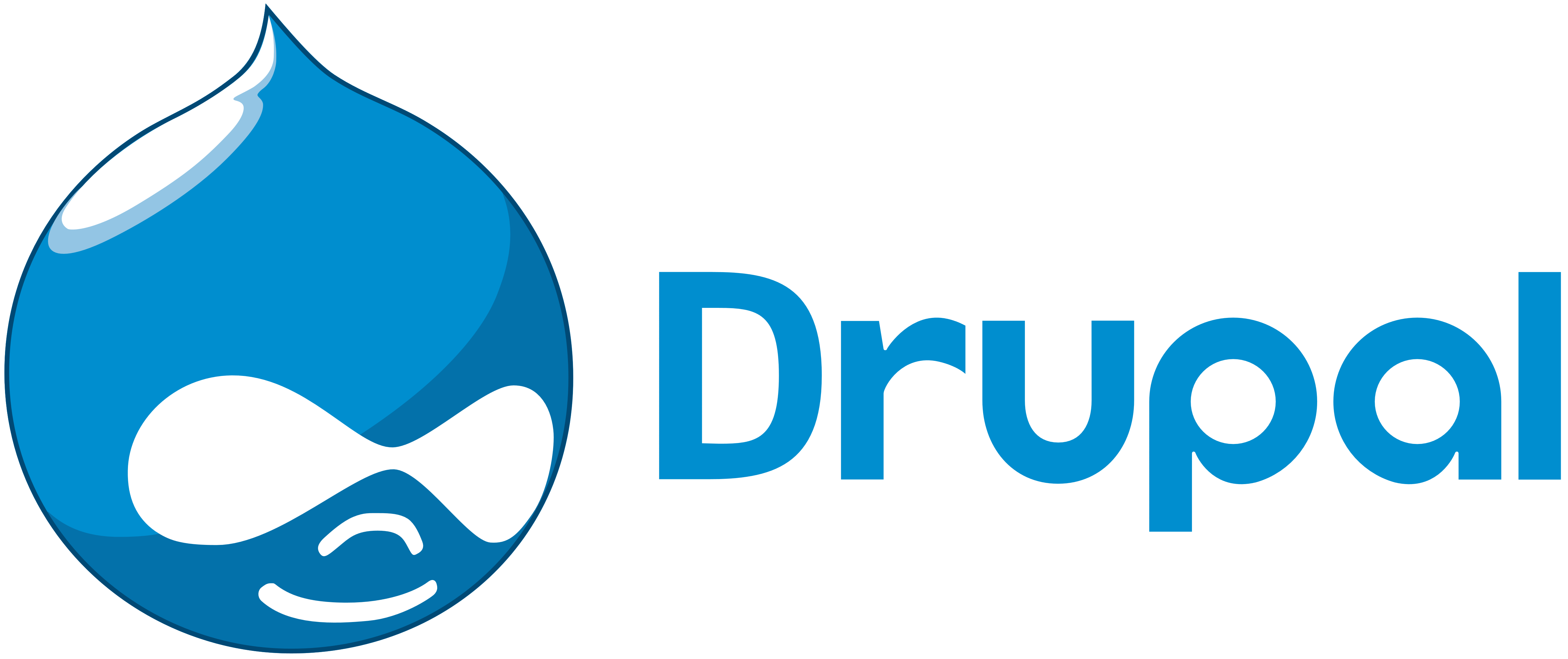 build a drupal website 