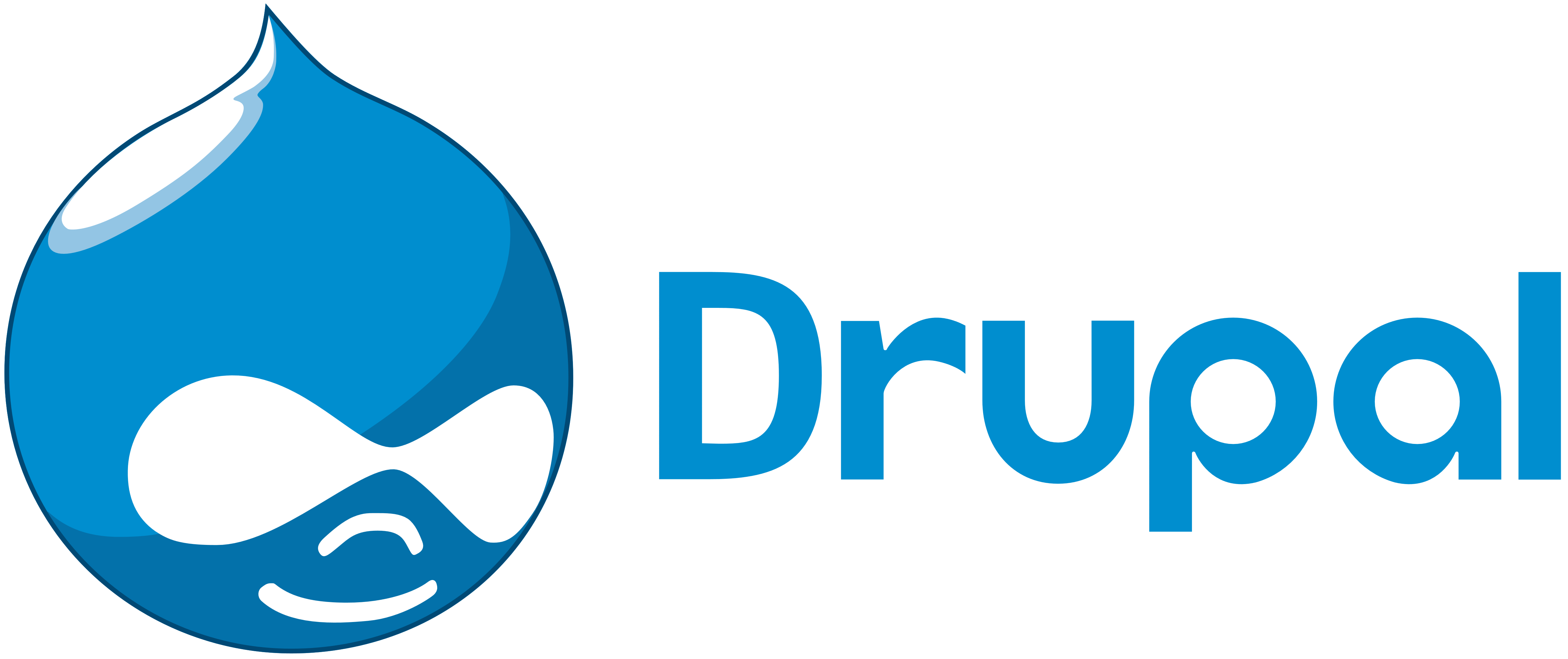 build a drupal website
