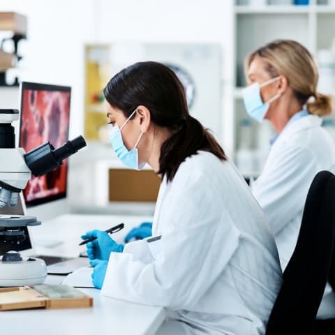 An image suggesting biomedical research