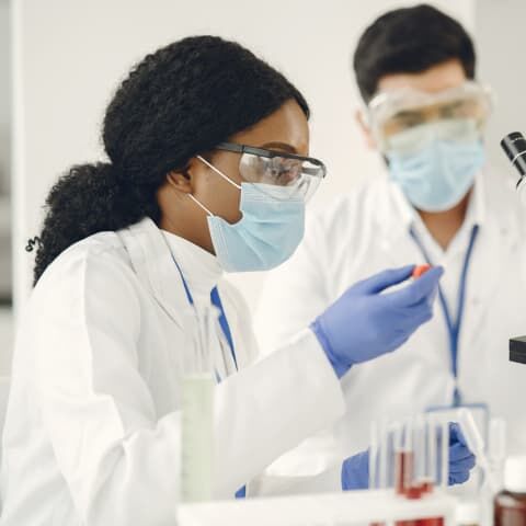 Scientists in a laboratory