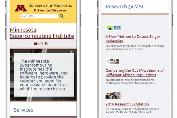 Minnesota Supercomputing Institute